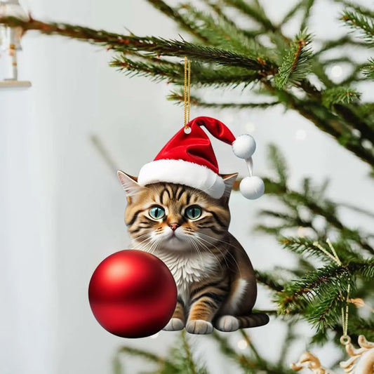 🎄10 darab 😻Macskás karácsonyfadísz✨ Akasztós macskadíszek